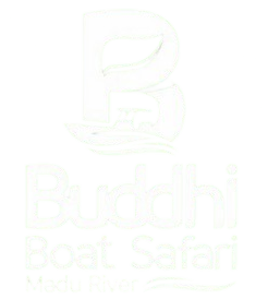 Buddhi Boat Safari | Madu Ganga River Safari